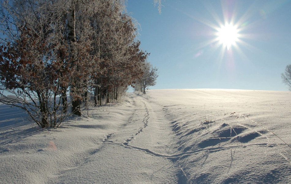 Feldweg im Winter, Lehmberg bei Ossig