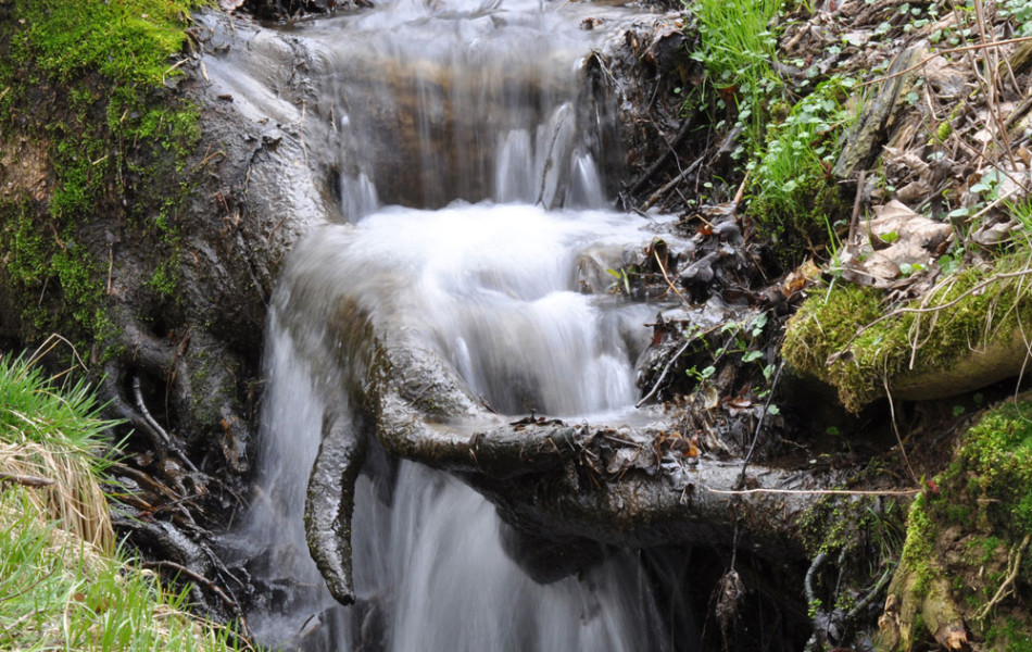 Wasserfall eines kleinen Wiesenbaches