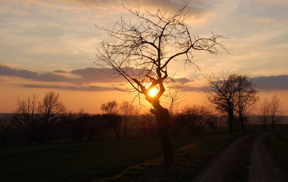 Sonnenuntergang im Mittelsächsischen