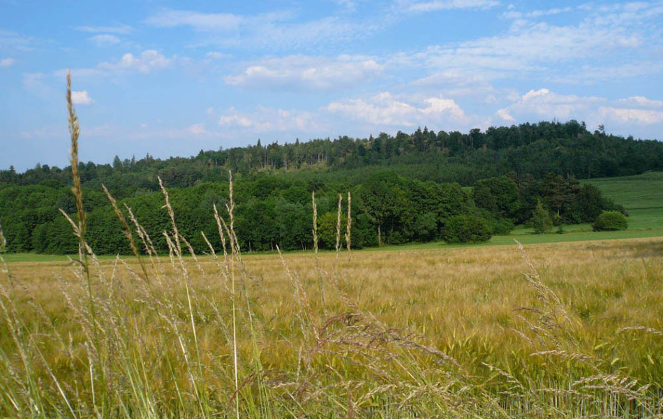 Ruderitzberg, Vogtland