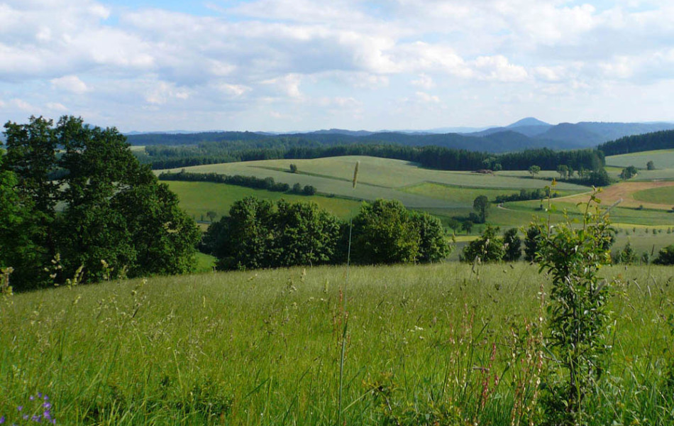 Saupsdorf, Sächsische Schweiz