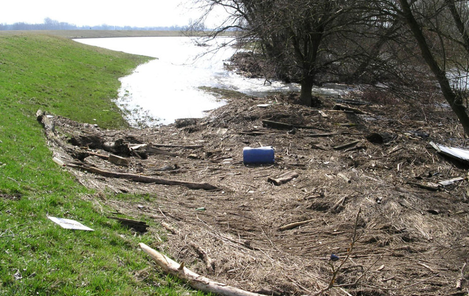 Treibgut am Ufer der Elbe