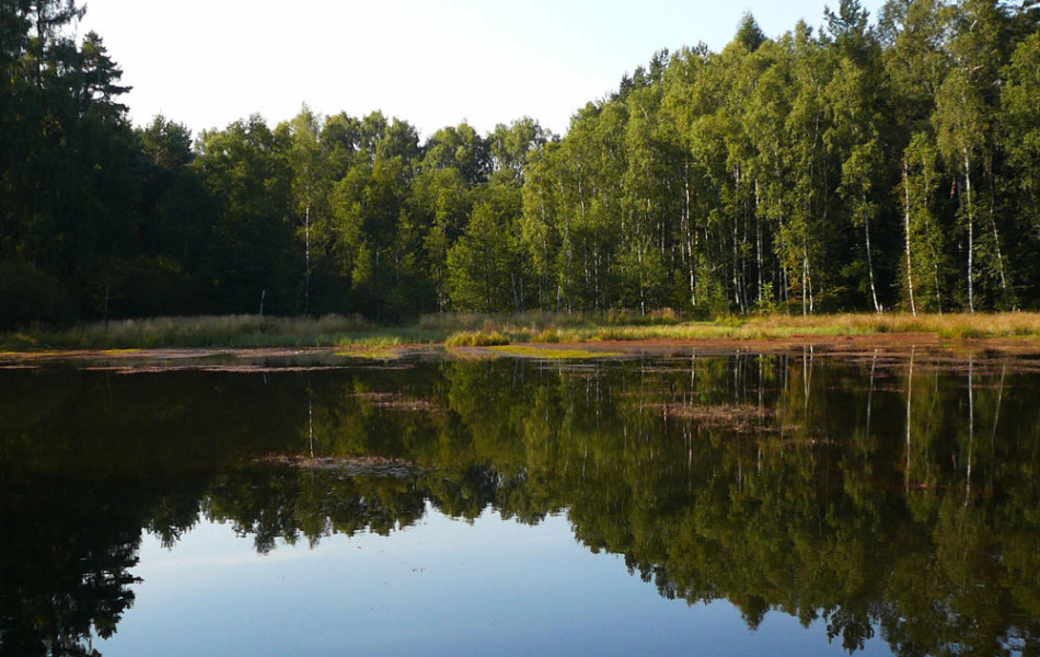 Dahlener Heide, südlicher Teil