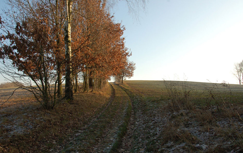 Feldweg im Winter, Lehmberg bei Ossig