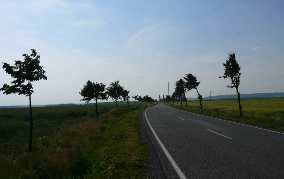 Allee bei Dahlen